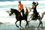 l'equitation