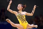 la gymnastique