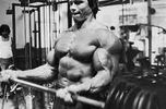 la musculation
