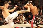 les sports de combat