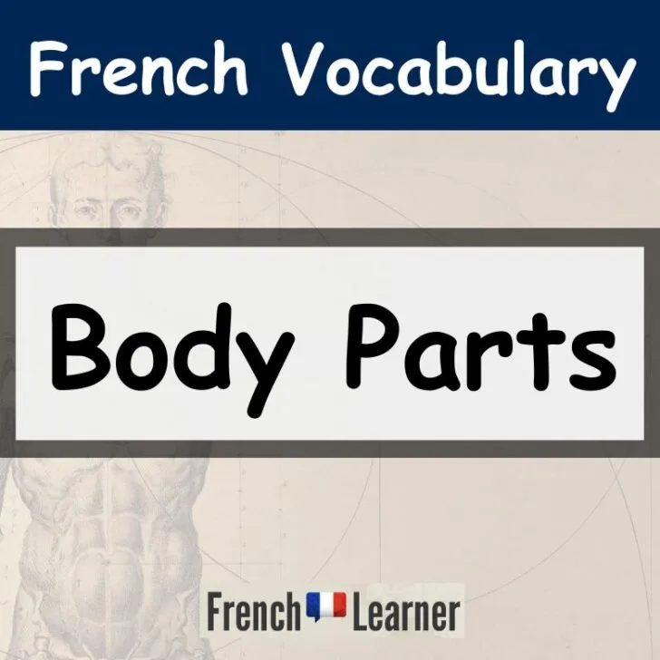 Body Parts Vocabulary