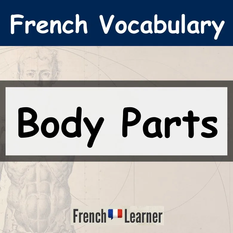 Body parts