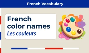 French Vocabulary –French color names – les couleurs