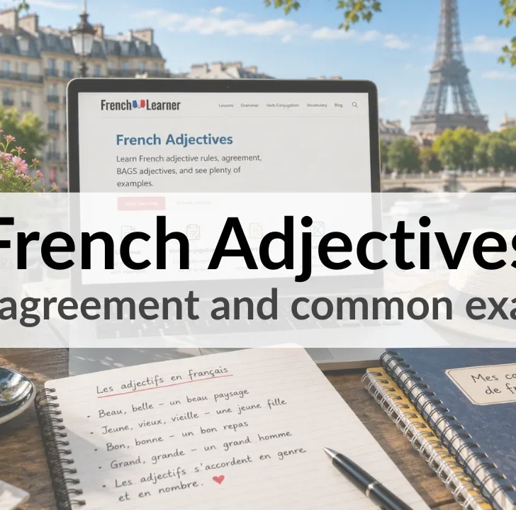 French Adjectives: Rules, Agreement & Common Examples
