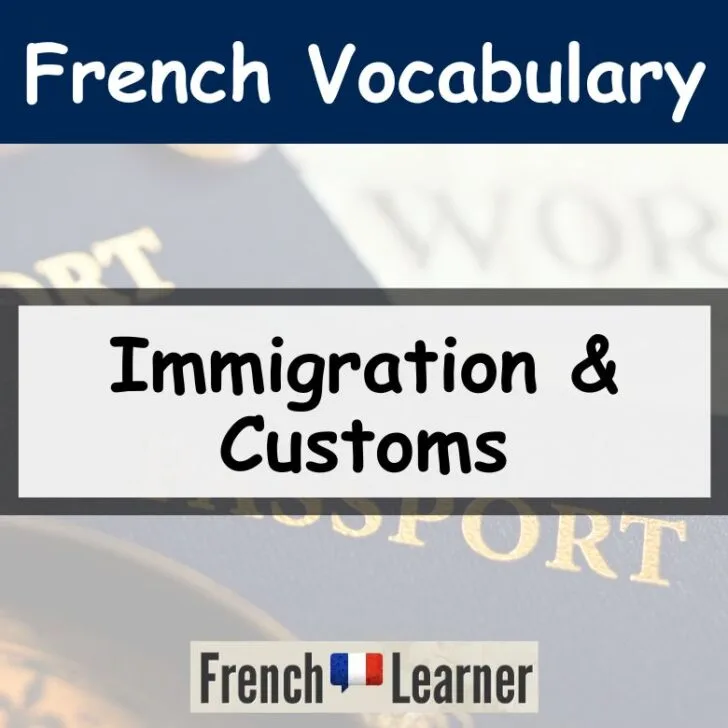 Customs & Immigration Vocabulary