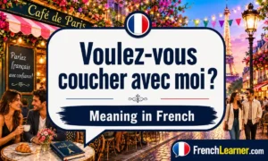 "Voulez-vous coucher avec moi ce soir ?" – Meaning in French