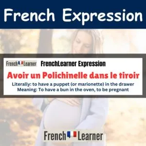 Avoir un Polichinelle dans le tiroir - French idiom - To have a bun in the oven, to be pregnant.