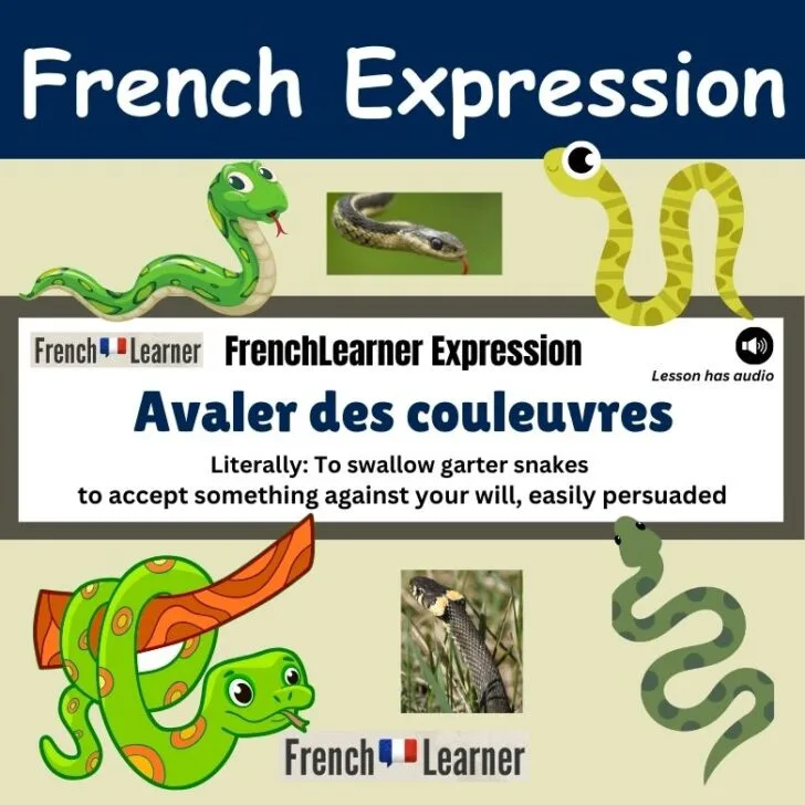 Avaler des couleuvres (To accept something against your will)