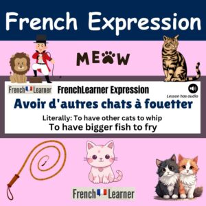 Avoir d'autres chats à fouetter - French expression meaning To have bigger fish to fry.