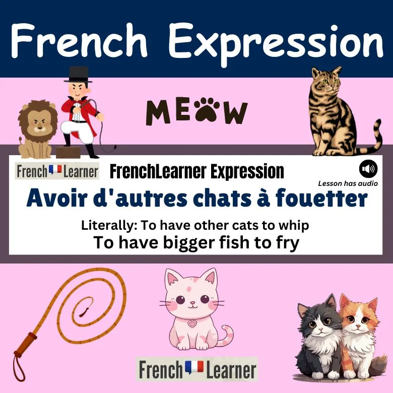 Avoir d'autres chats à fouetter - French expression meaning To have bigger fish to fry.