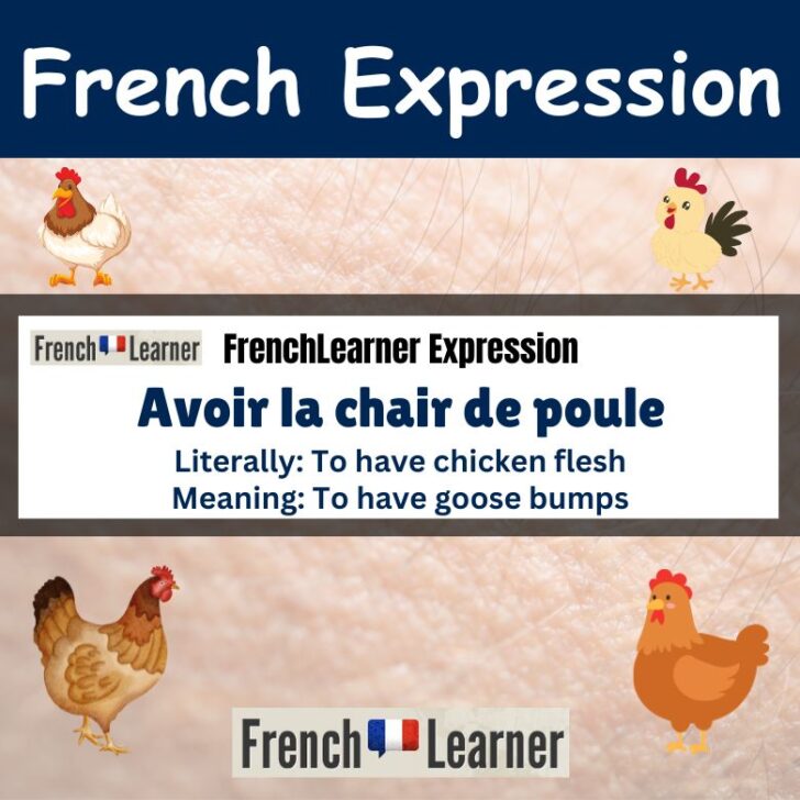 Avoir la chair de poule