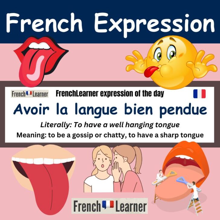 Avoir la langue bien pendue
