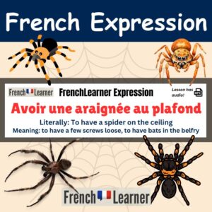 Avoir une araignée au plafond - to have a few screws loose, to have bats in the belfry