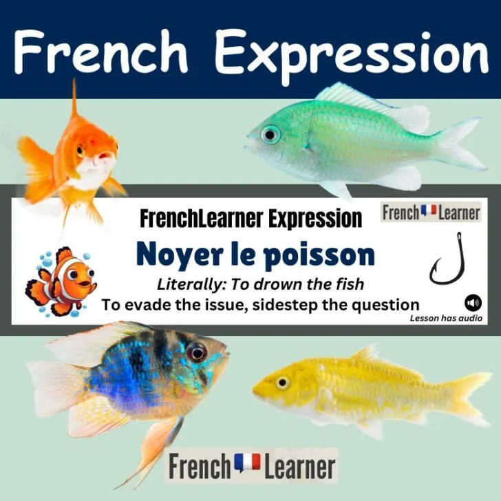 Noyer le poisson (To evade the issue)