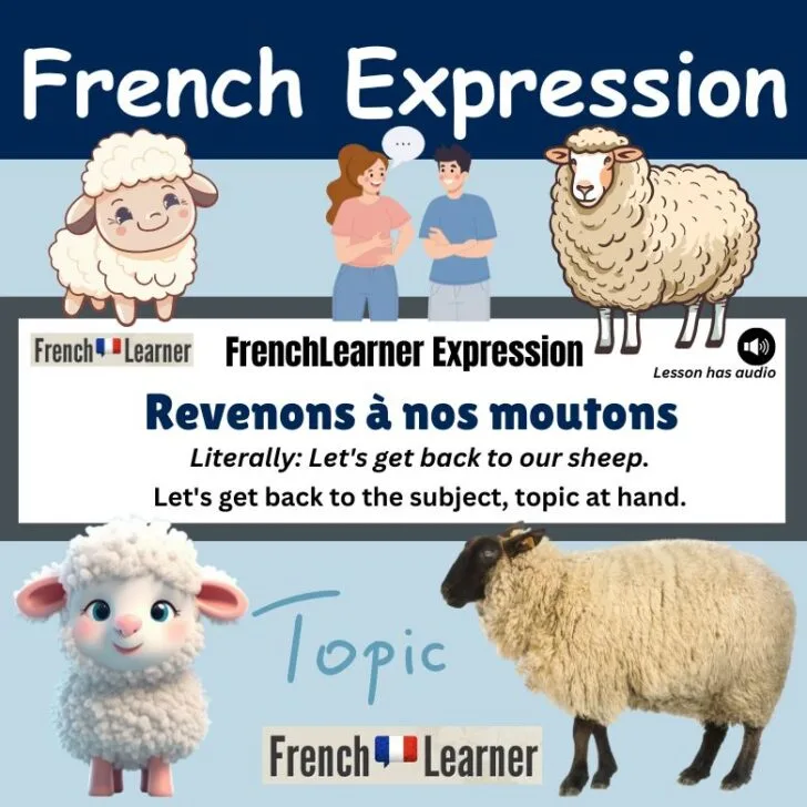 Revenons à nos moutons (Let’s get back to the subject)
