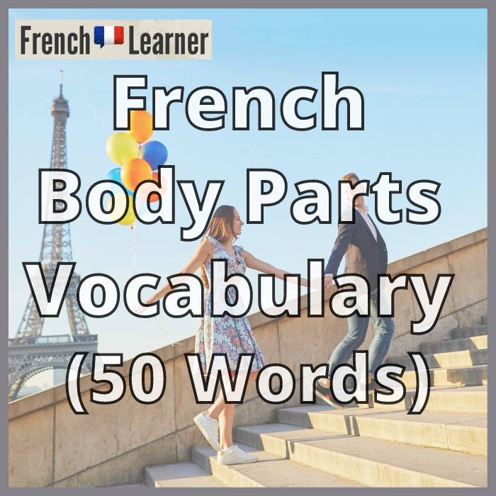French Body Parts Vocabulary (50+ Words)