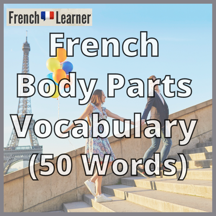 French Parts Of The Body 50 Vocabulary Words Pdf Video