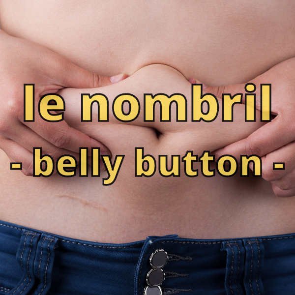 "Le nombril" means "belly button"