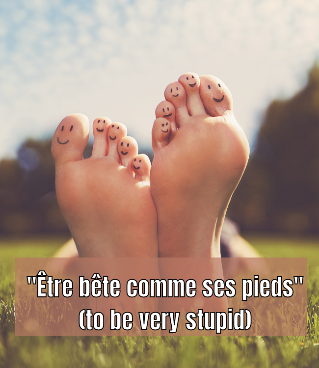 Etre bête comme ses pieds (to be very stupid)