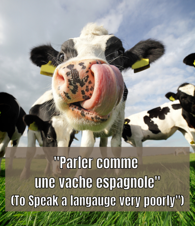 Parler comme une vache espagnole (to speak a language very poorly)
