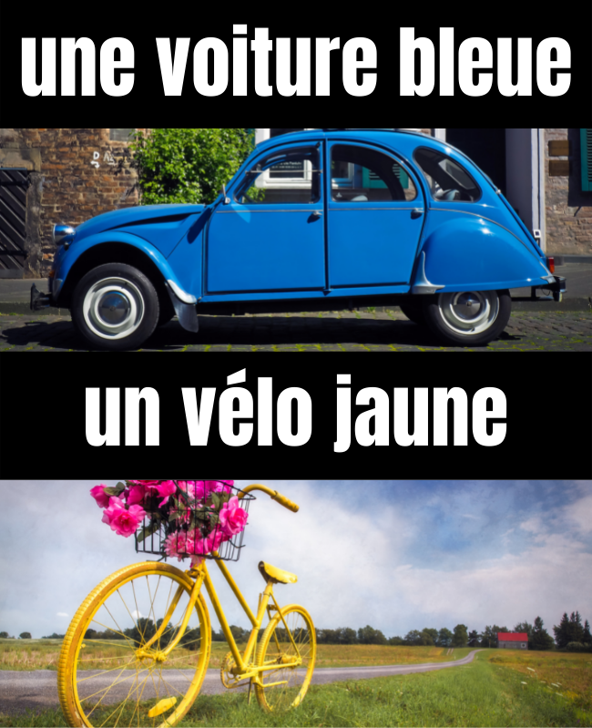 A blue car (une voiture bleu); A yellow bike (un vélo jaune).