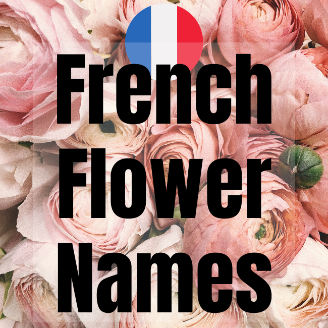 French Flower Names