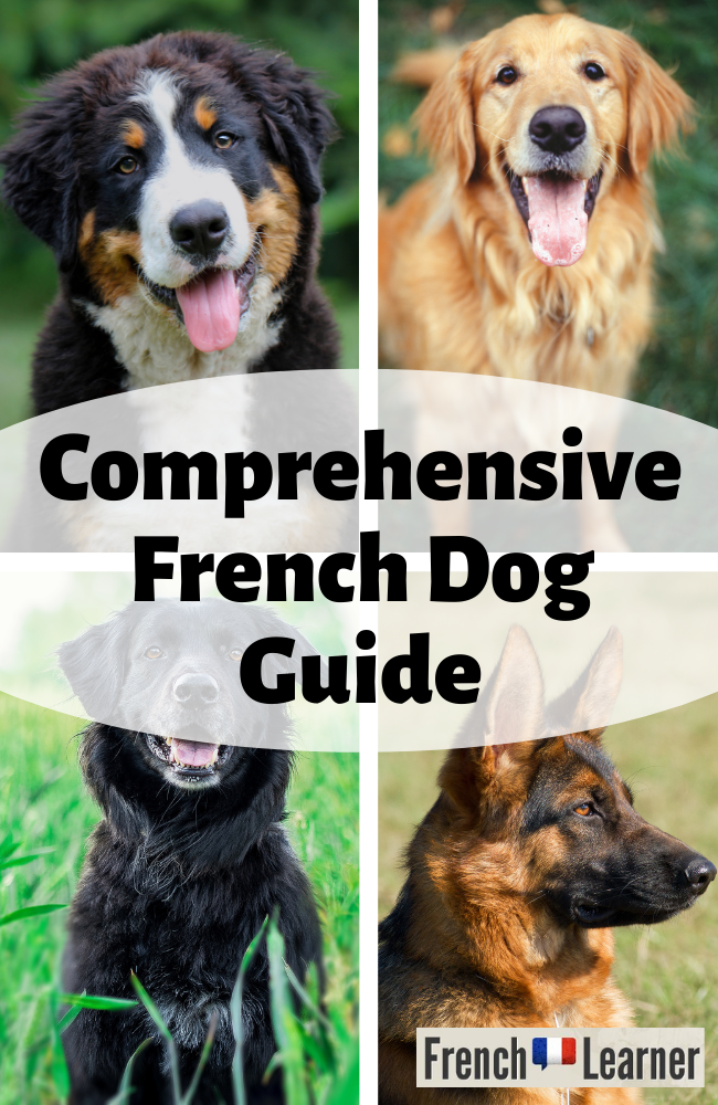 Comprehensive French Dog Guide