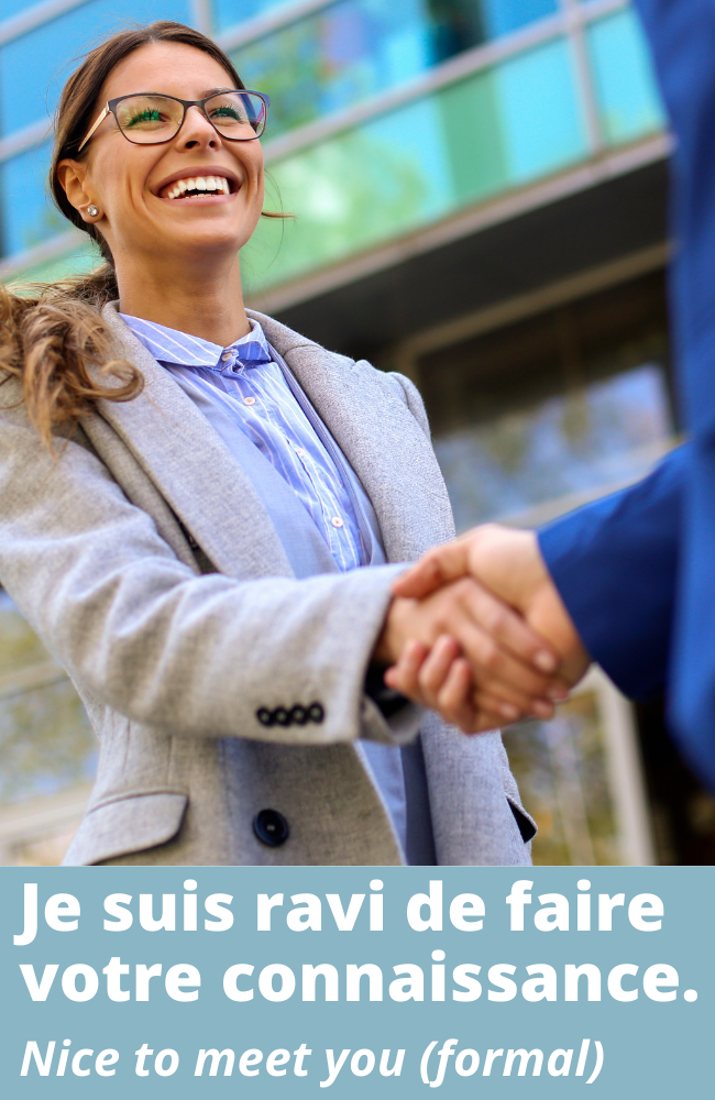 "Je suis ravi de faire votre connaissance" is formal for "nice to meet you".
