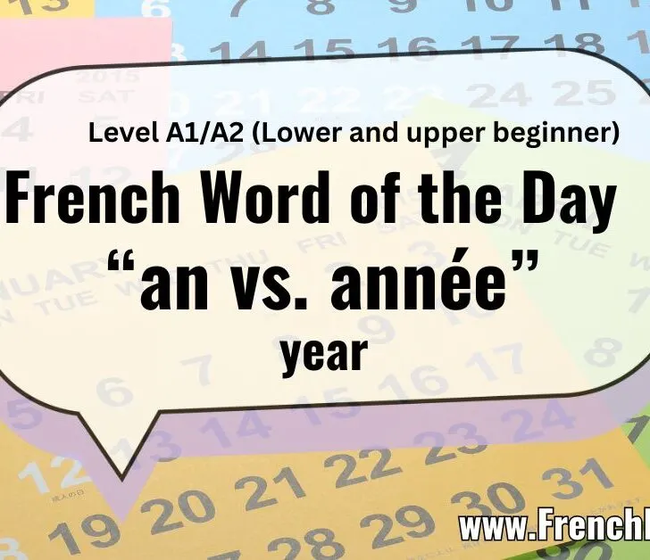 An vs. Année: Understanding “Year” in French