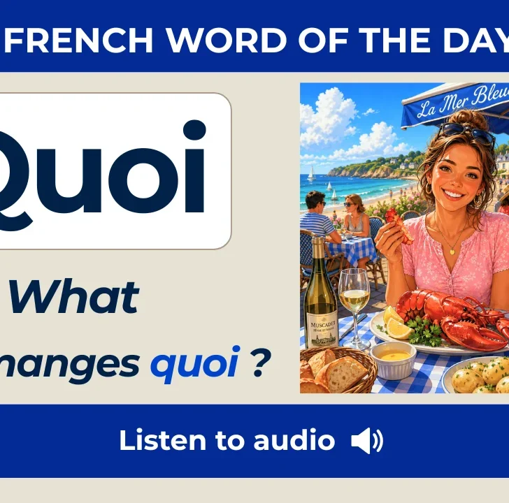 Quoi — Meaning, pronunciation and examples with native audio