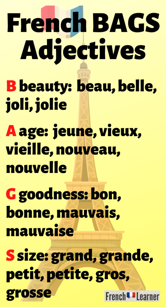 French BAGS adjectives - Boom™ Cards