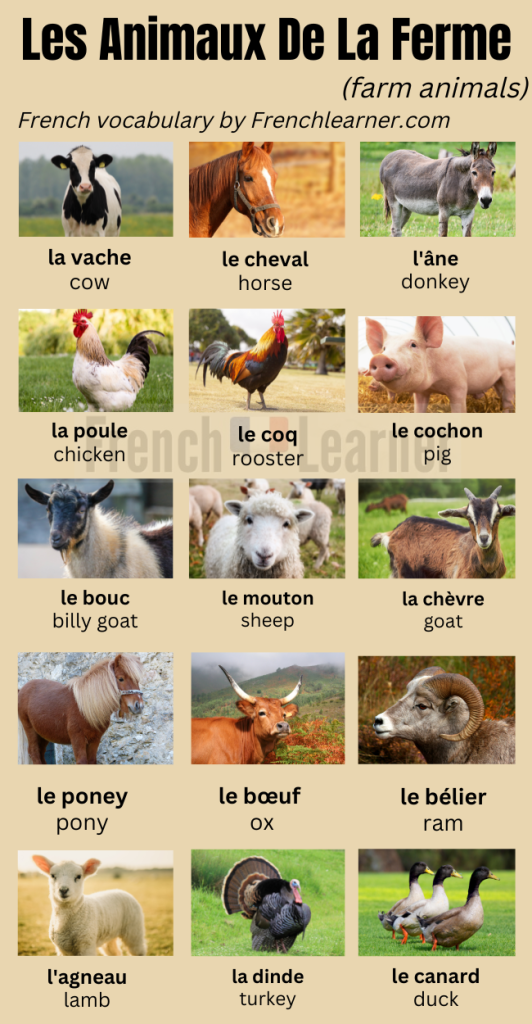 French farm animals vocabulary