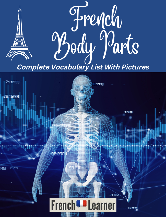 French body parts vocabulary