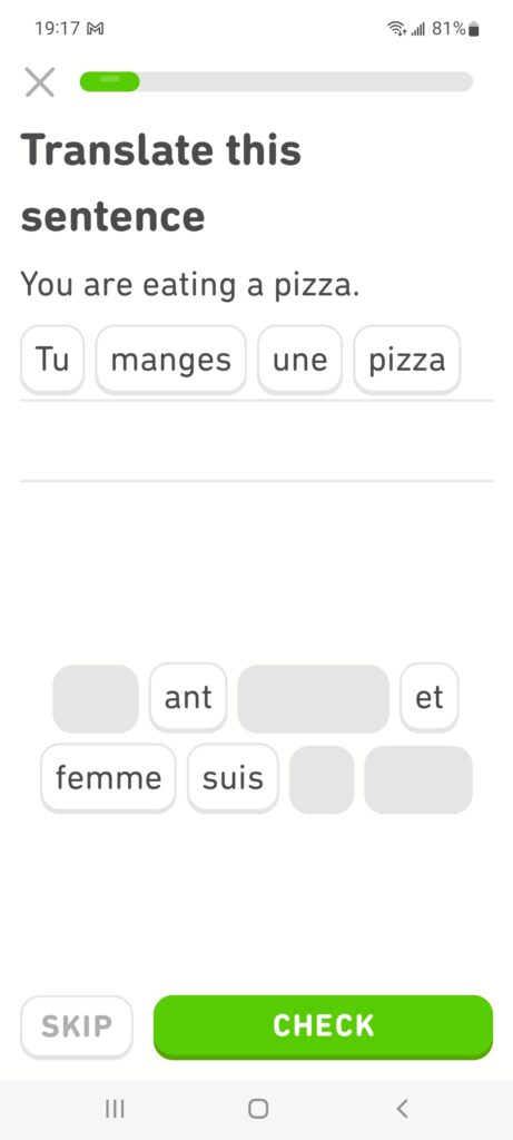 Duolingo French example translation exercise