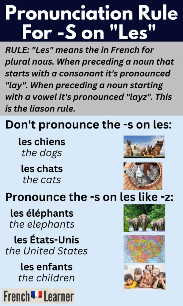 French -s rule for "les" (the).