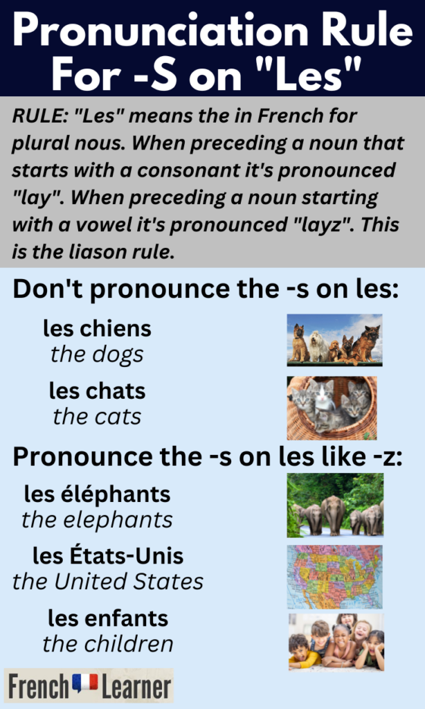 French S S or SS between two vowels? Practice the pronunciation Of