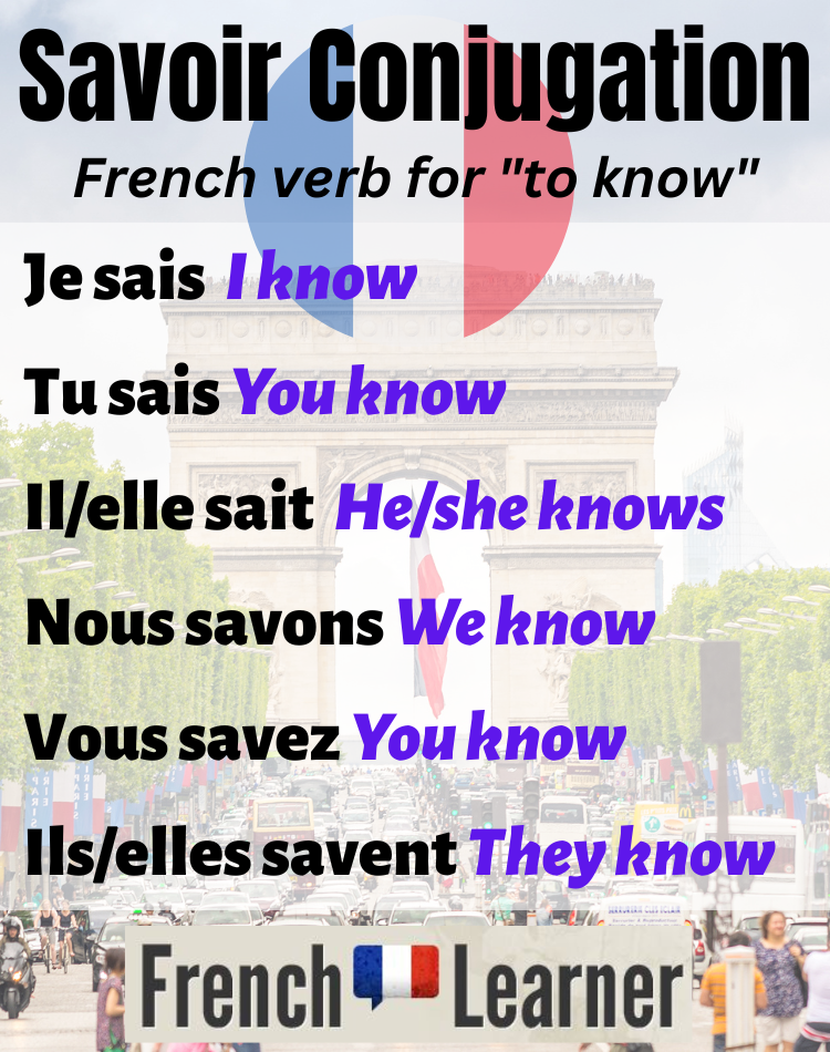 Savoir conjugation