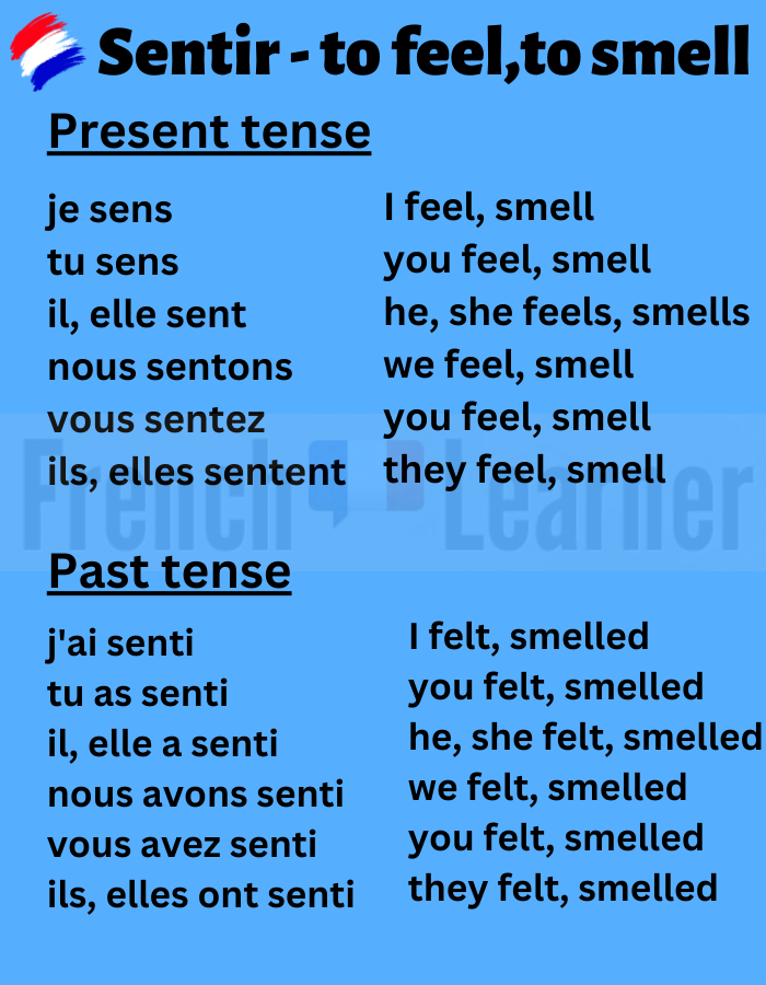 Sentir to feel smell