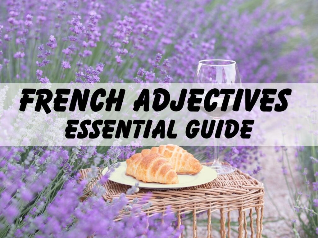 French Adjectives - Essential Guide