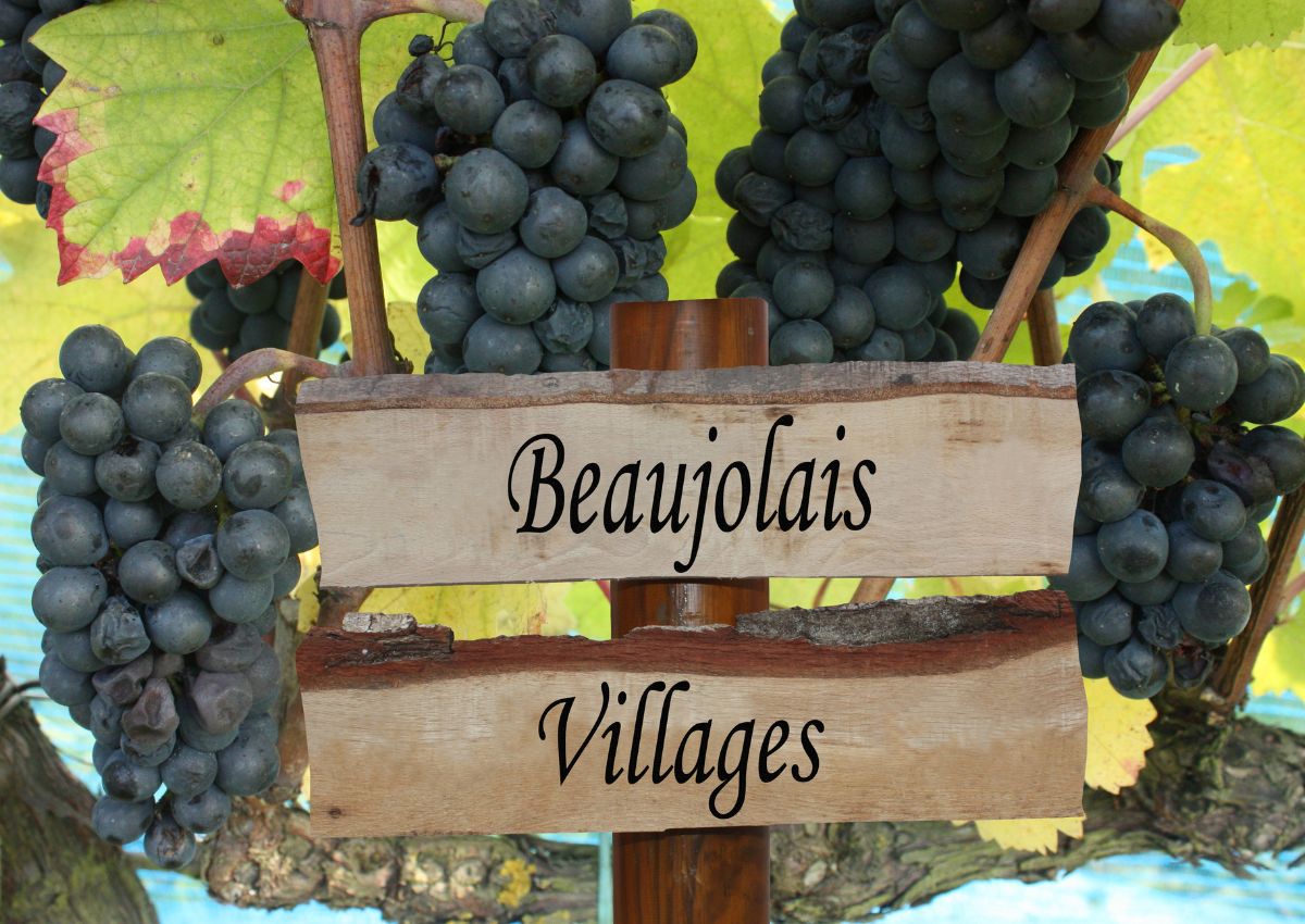 Sign with "beaujolais villages" and grapes.