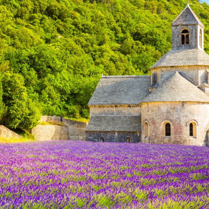 45 French Survival Phrases For An Adventure In France