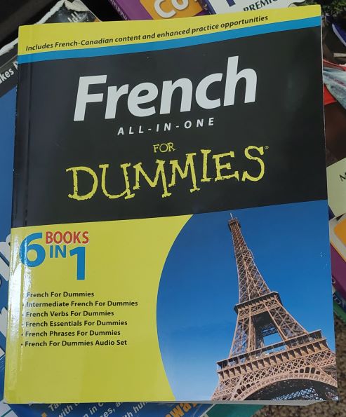 French For Dummies