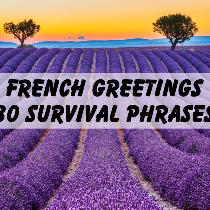 30 French Greetings For Survival In France (With Audio)