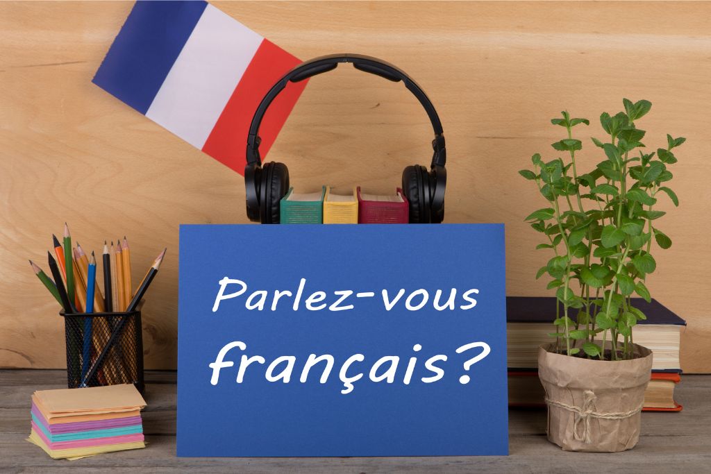 16 Best Most Effective Books For Learning French 16 best most effective books for learning french