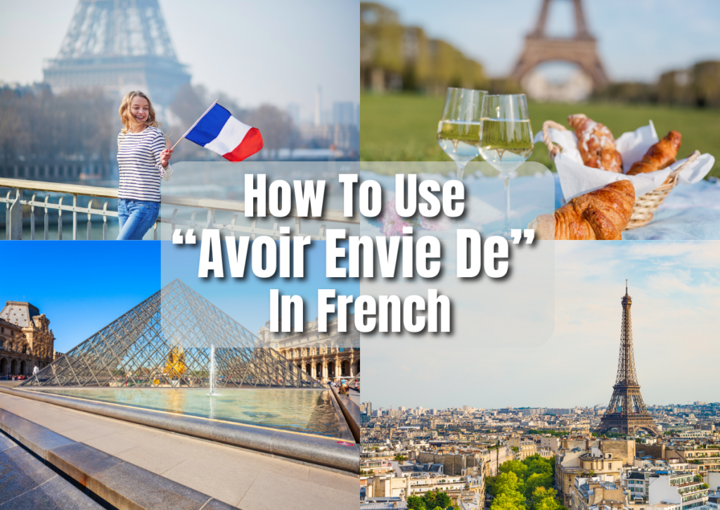 How to use avoir envie in French.
