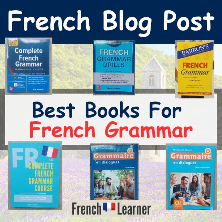 6 Best French Grammar Books For Self Study