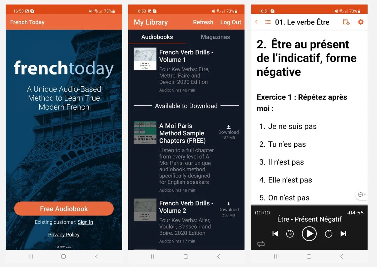 French Verb Drills - Image of how the app actually appears.