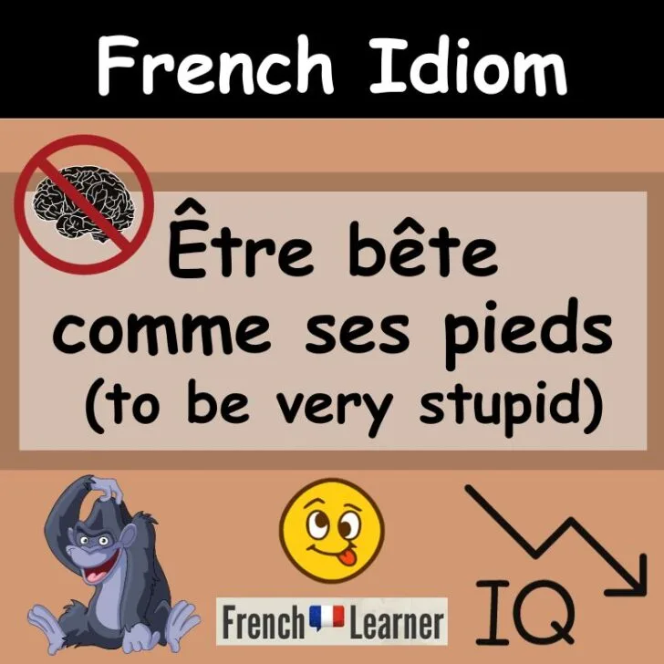 Bête comme ses pieds (To be very stupid)