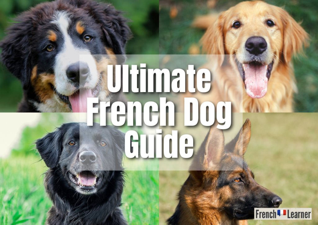 Ultimate French Dog Guide