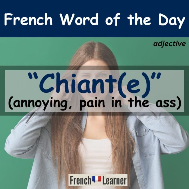 Chiant Meaning & Translation – annoying in French